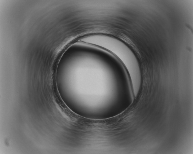 X0000103500436200809191949