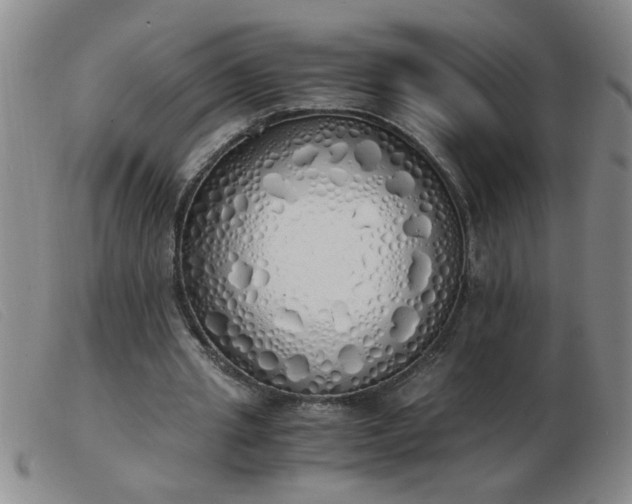 X0000103500437200809191949