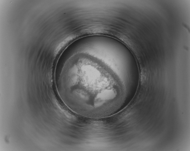 X0000103500438200809191949