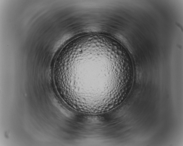 X0000103500439200809191949