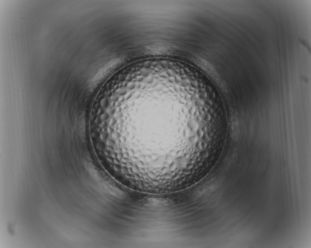 X0000103500442200809191949