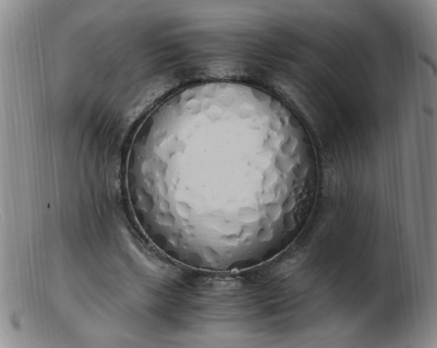 X0000103500443200809191949