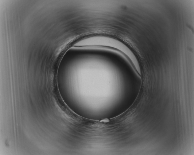 X0000103500444200809191949