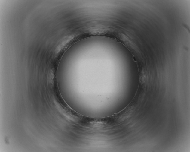 X0000103500448200809191949