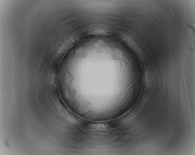 X0000103500449200809191949