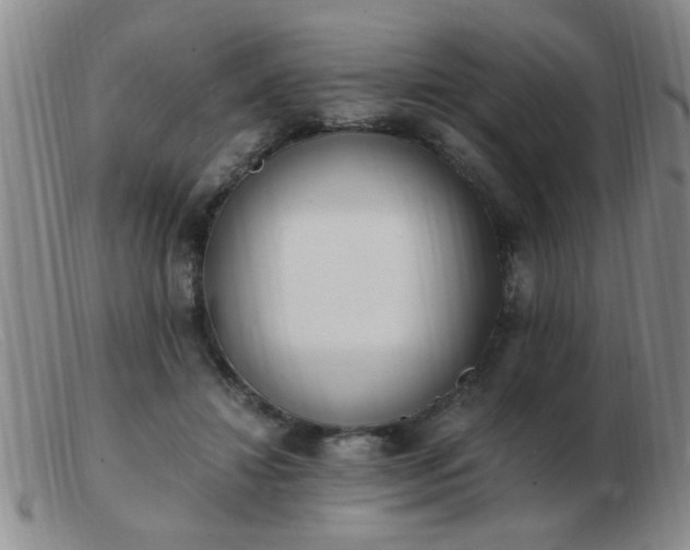 X0000103500452200809191949