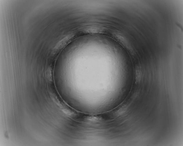 X0000103500453200809191949