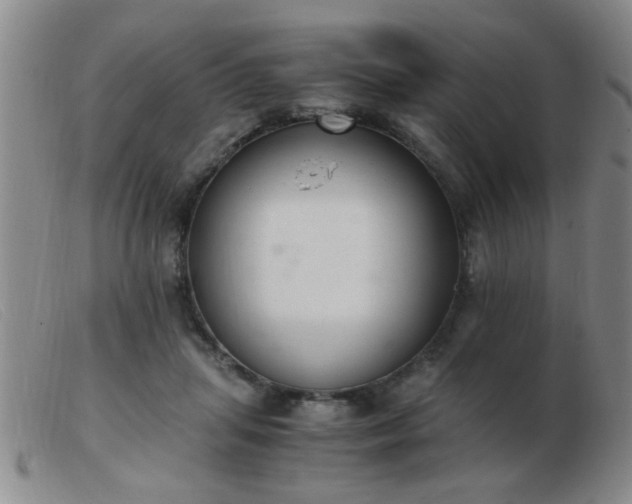 X0000103500455200809191949