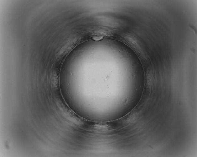 X0000103500457200809191949