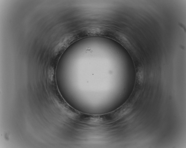 X0000103500458200809191949