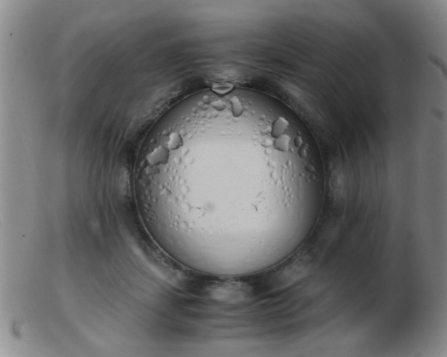 X0000103500459200809191949