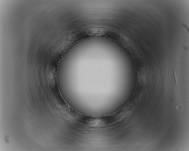 X0000103500460200809191949