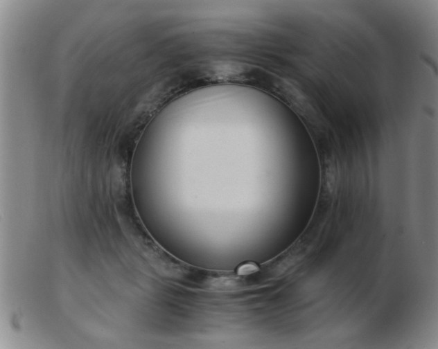 X0000103500461200809191949