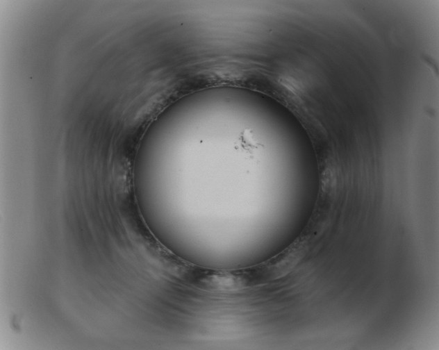 X0000103500464200809191949