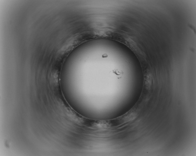 X0000103500466200809191949