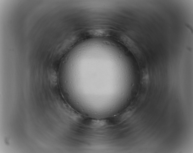 X0000103500469200809191949