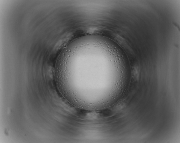 X0000103500470200809191949