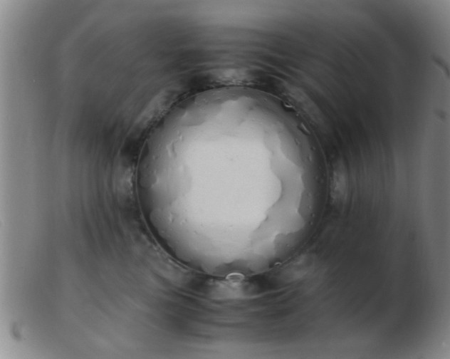 X0000103500473200809191949