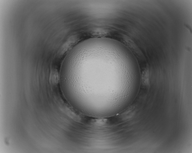 X0000103500474200809191949