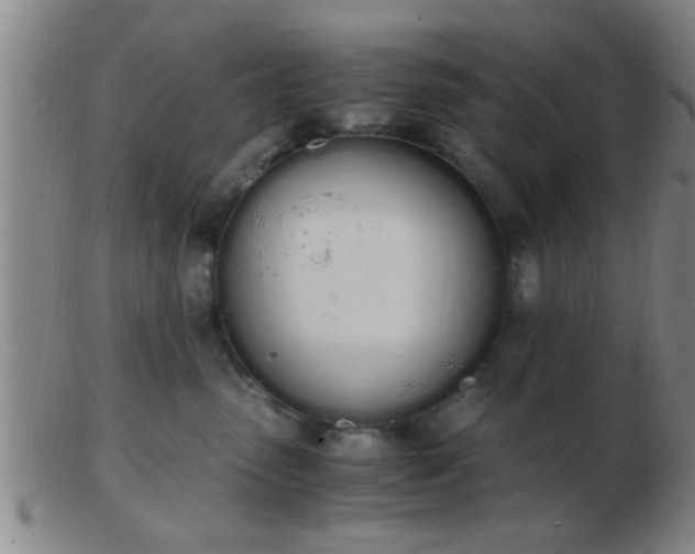 X0000103500475200809191949