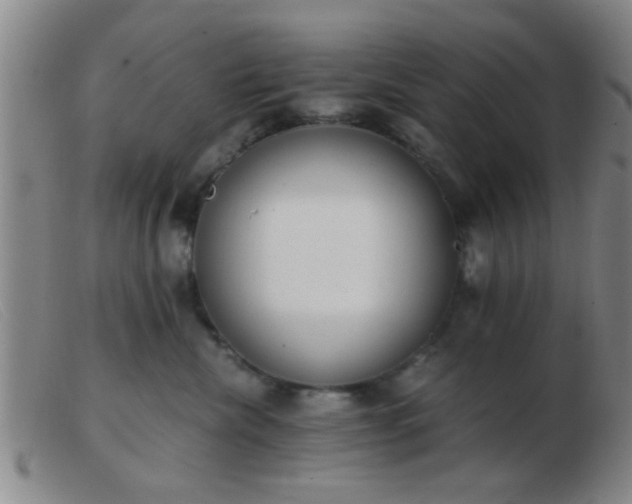 X0000103500476200809191949