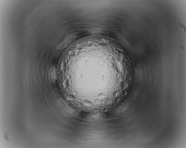 X0000103500479200809191949