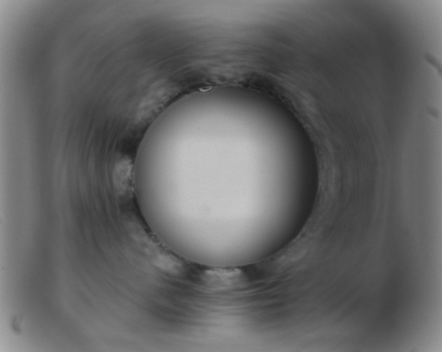 X0000103500480200809191949