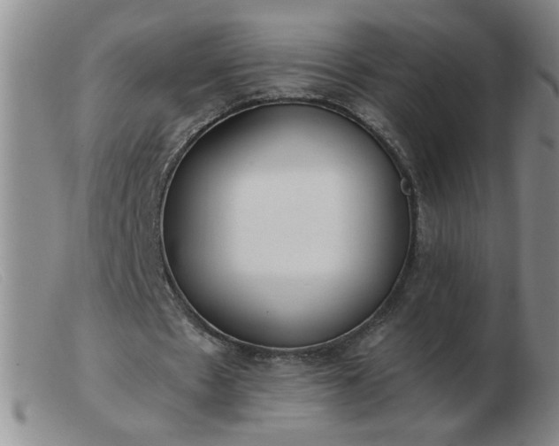 X0000103500481200809191949