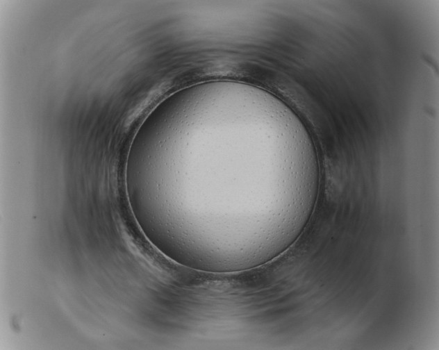 X0000103500482200809191949