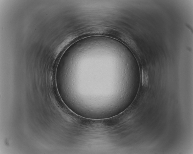 X0000103500483200809191949