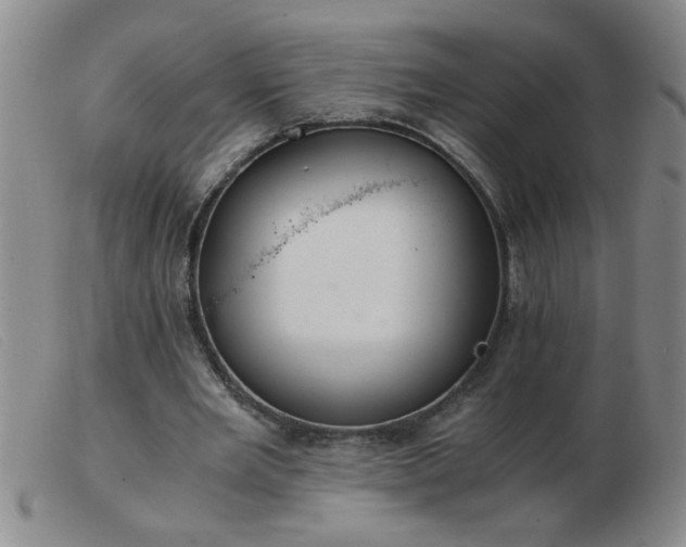 X0000103500485200809191949