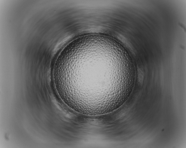 X0000103500486200809191949