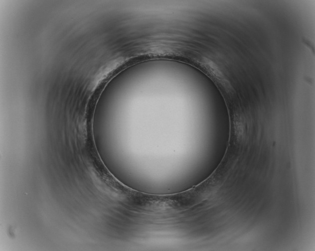 X0000103500488200809191949