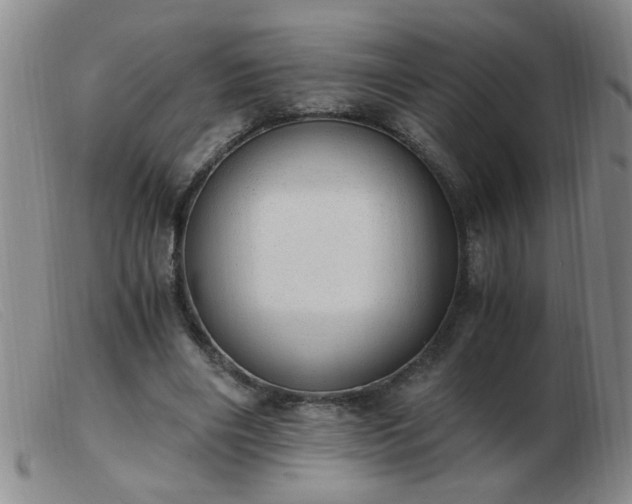 X0000103500490200809191949