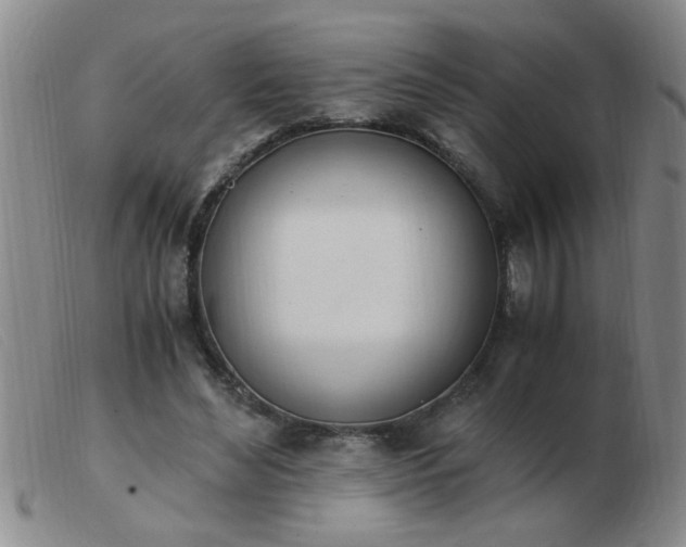 X0000103500492200809191949