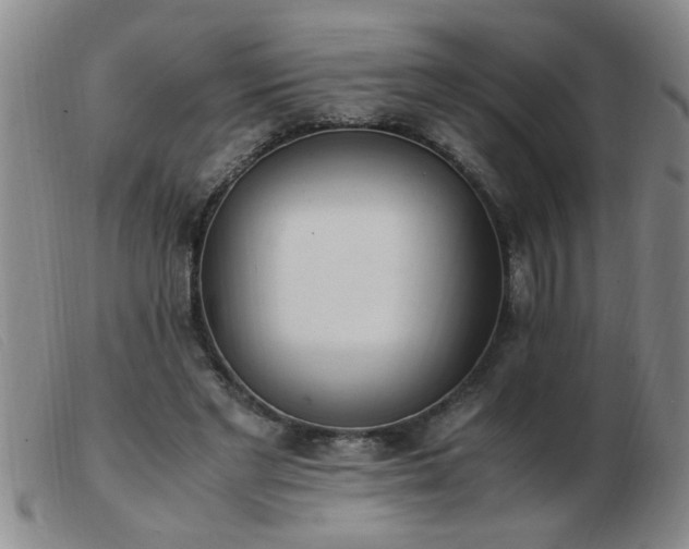 X0000103500493200809191949