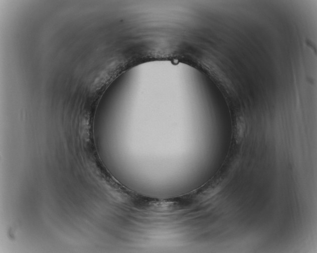 X0000103500497200809191948