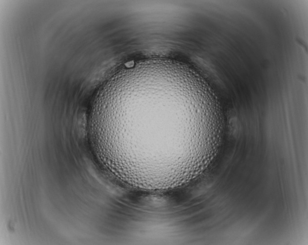 X0000103500498200809191948