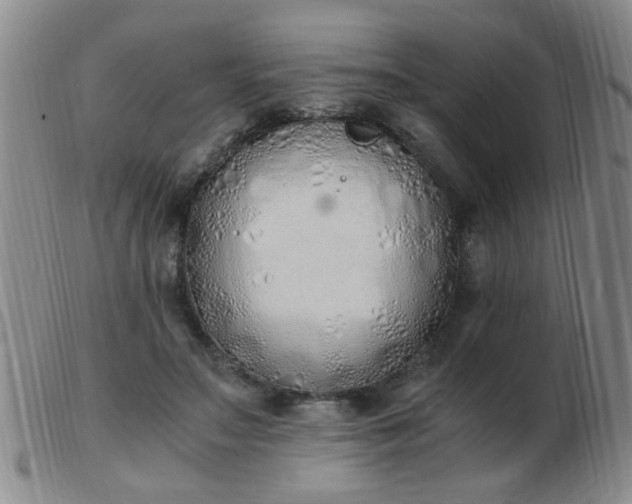 X0000103500499200809191948