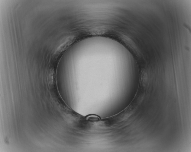 X0000103500501200809191948