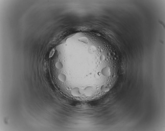 X0000103500503200809191948