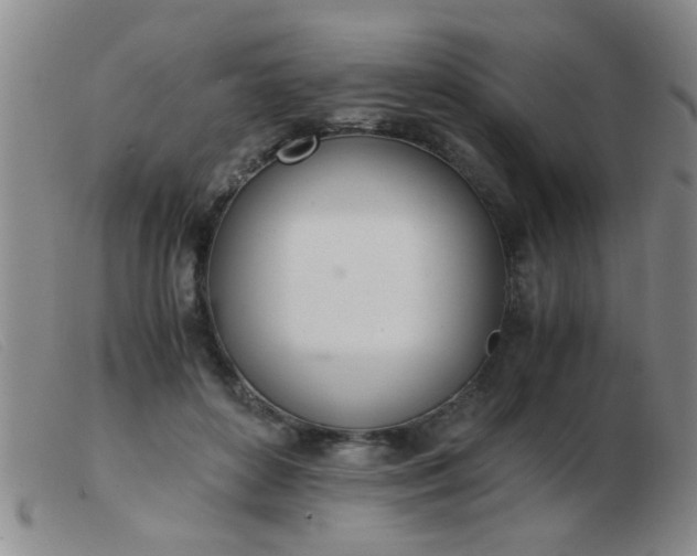 X0000103500504200809191948