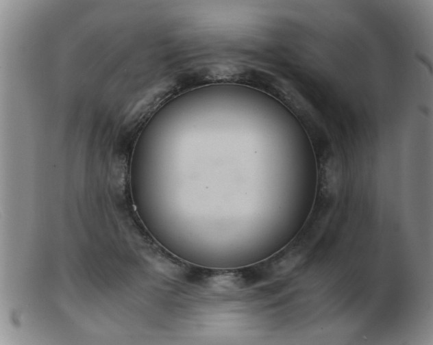 X0000103500505200809191948