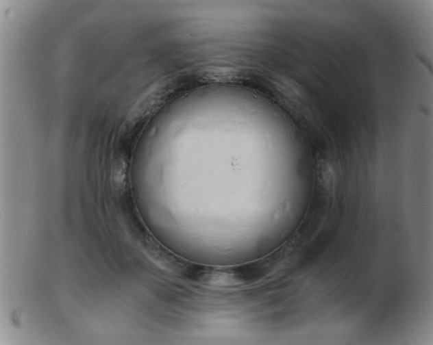 X0000103500507200809191948