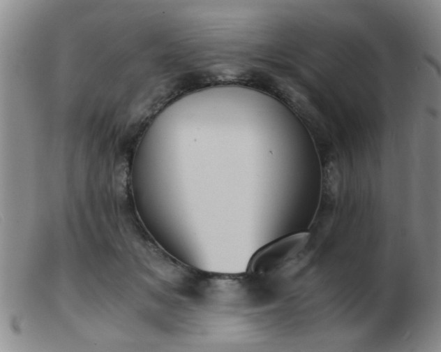 X0000103500509200809191948