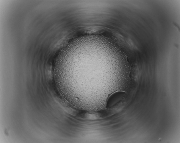 X0000103500510200809191948