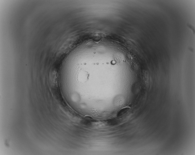 X0000103500511200809191948