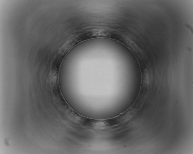 X0000103500513200809191948