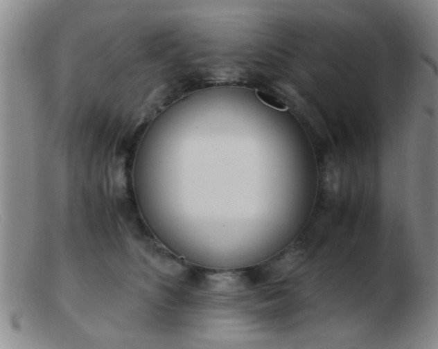 X0000103500516200809191948