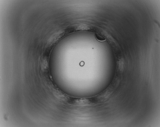 X0000103500517200809191948